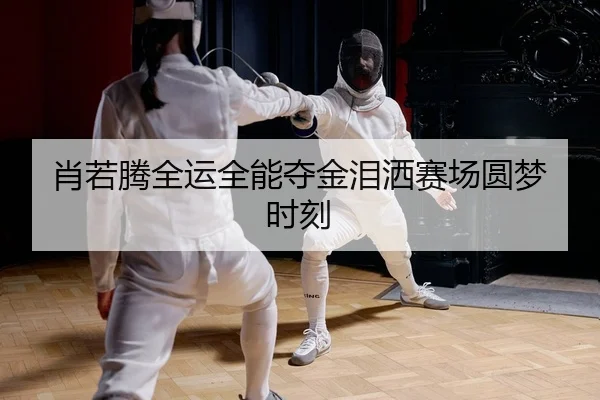 xiao-ruo-teng-quan-yun-quan-neng-duo-jin-lei-sa-sai-chang-yuan-meng-shi-ke-2-565.jpg
